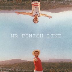 Cover of Mr Finish Line