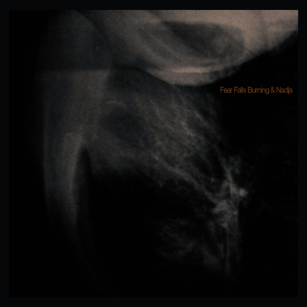 Picture of Fear Falls Burning / Nadja