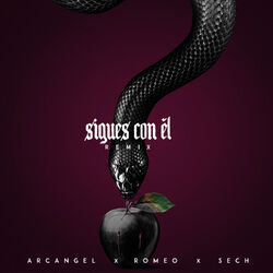 Cover of Sigues Con El (Remix)