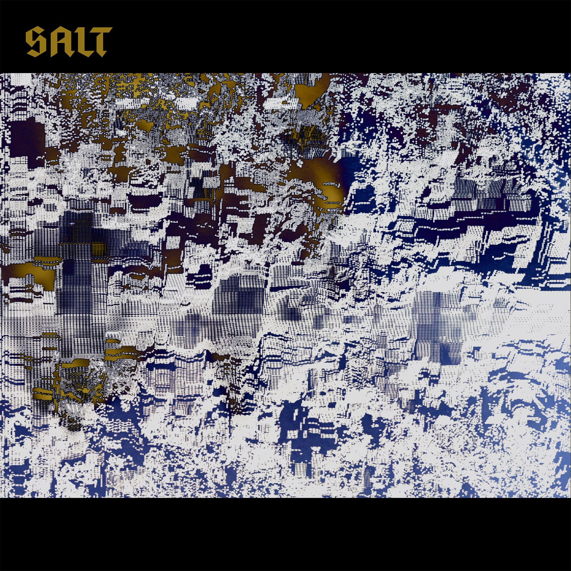 Album cover of Salt