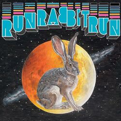 Cover of Run Rabbit Run