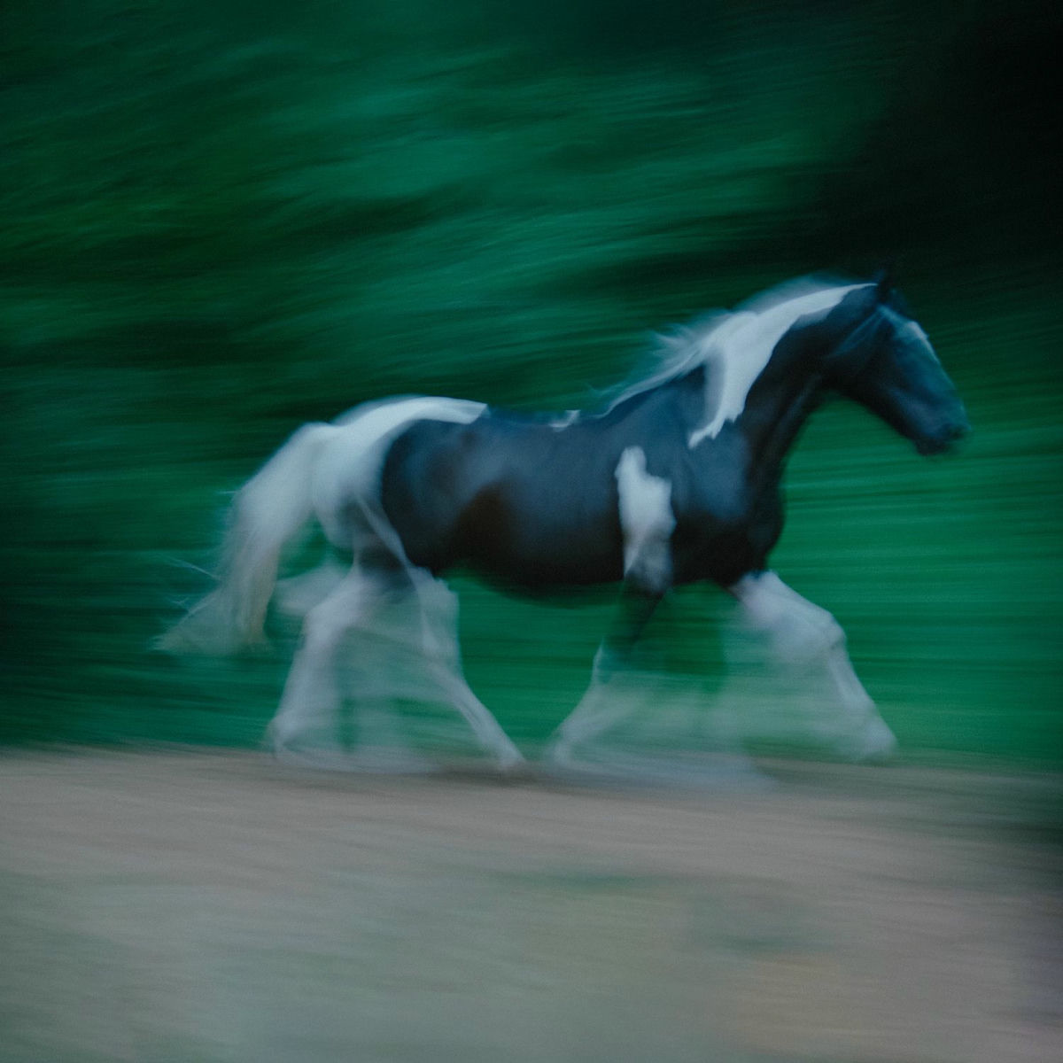 Album cover of Ensacado