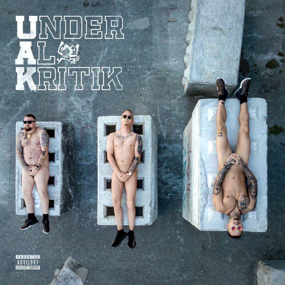 Picture of Under Al Kritik