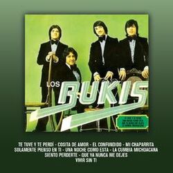 Cover of Te Tuve Y Te Perdí