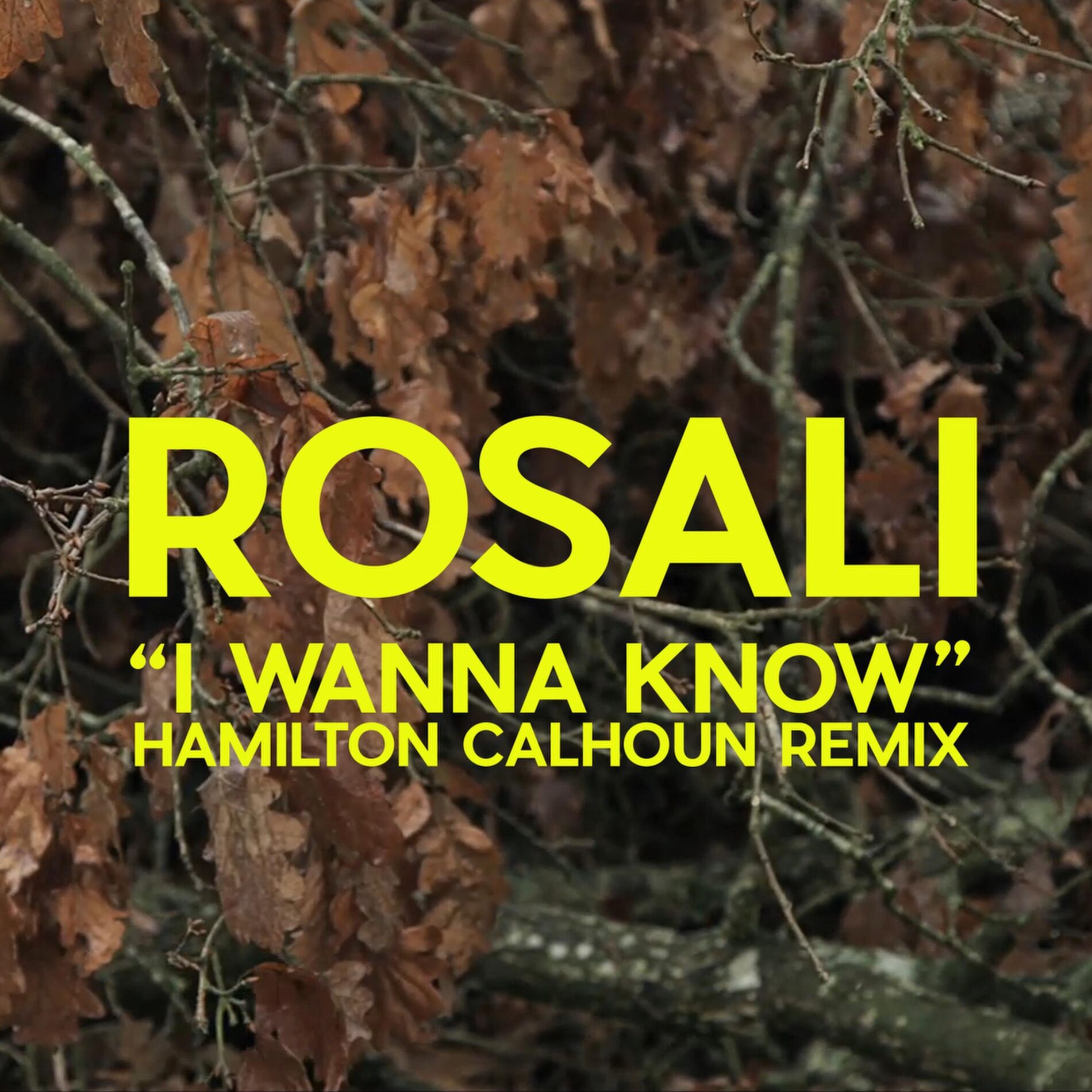 Album cover of I Wanna Know (Hamilton Calhoun Remix)