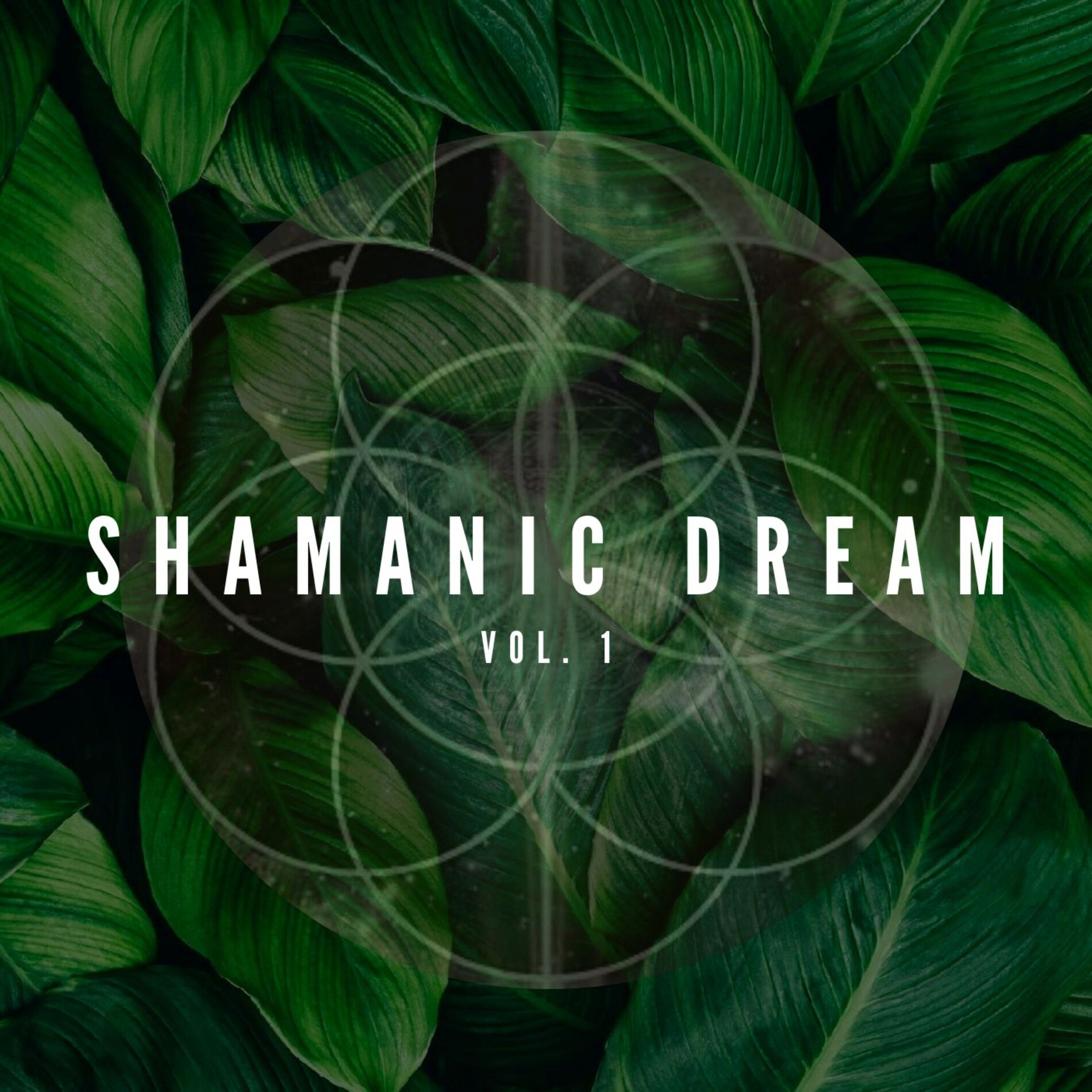 Album cover of Shamanic Dream, Vol. 1 (Acoustic)