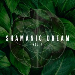 Shamanic Dream, Vol. 1 (Acoustic)