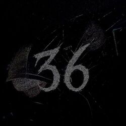 FREESTYLE 36