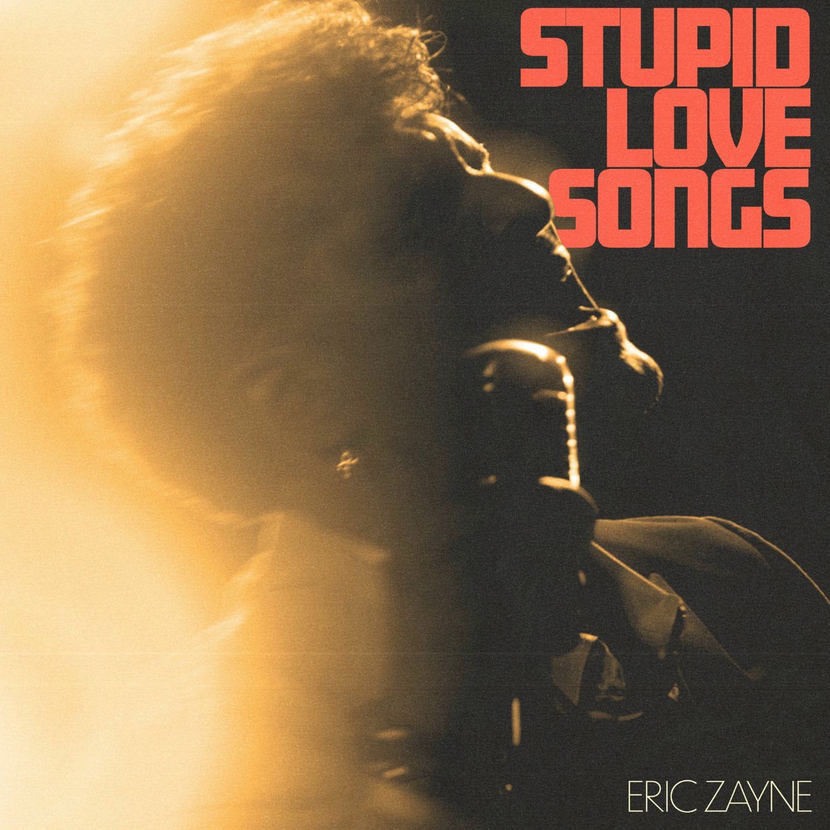 Album cover of Stupid Love Songs