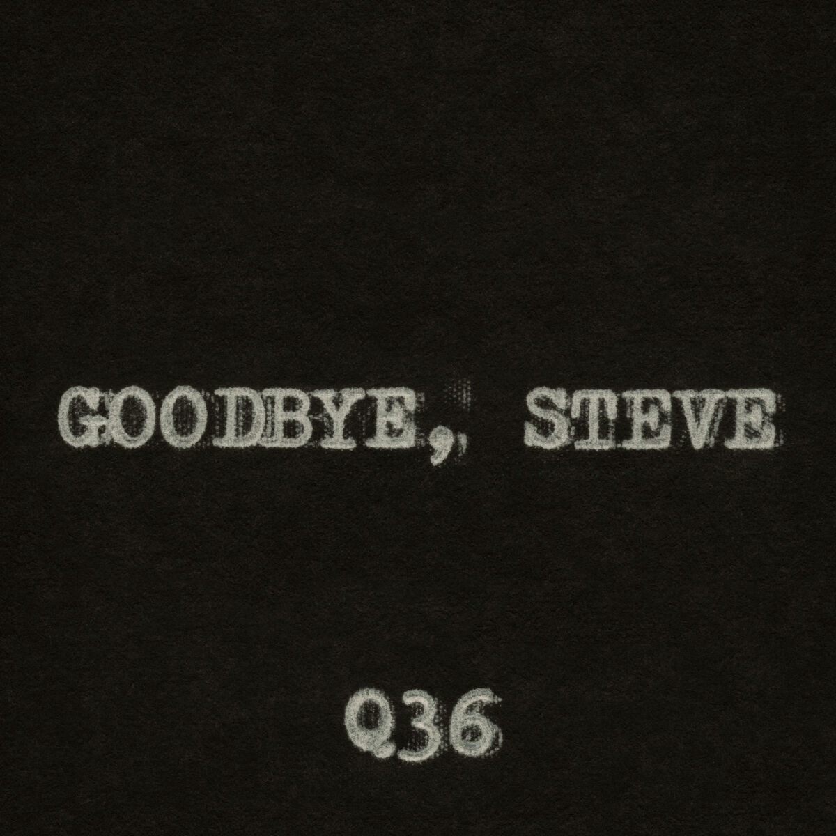 Album cover of Goodbye, Steve