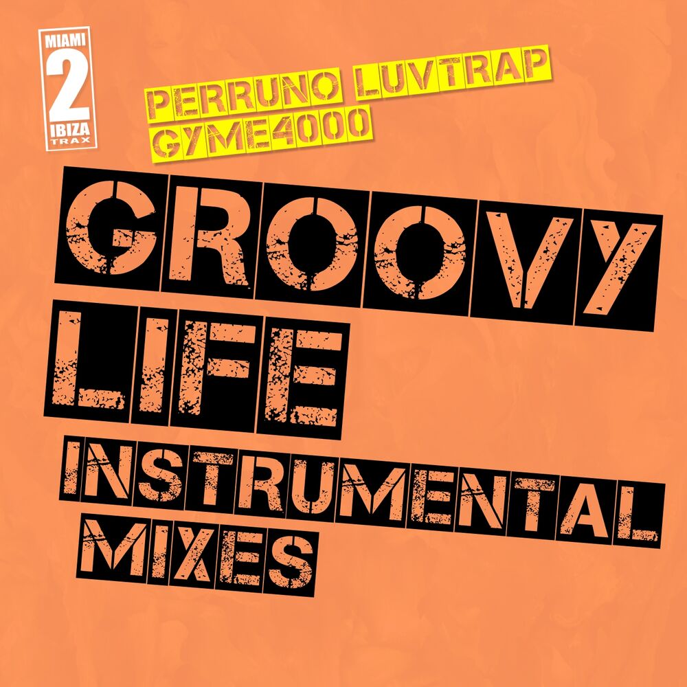 Picture of Groovy Life (Instrumental Mixes)