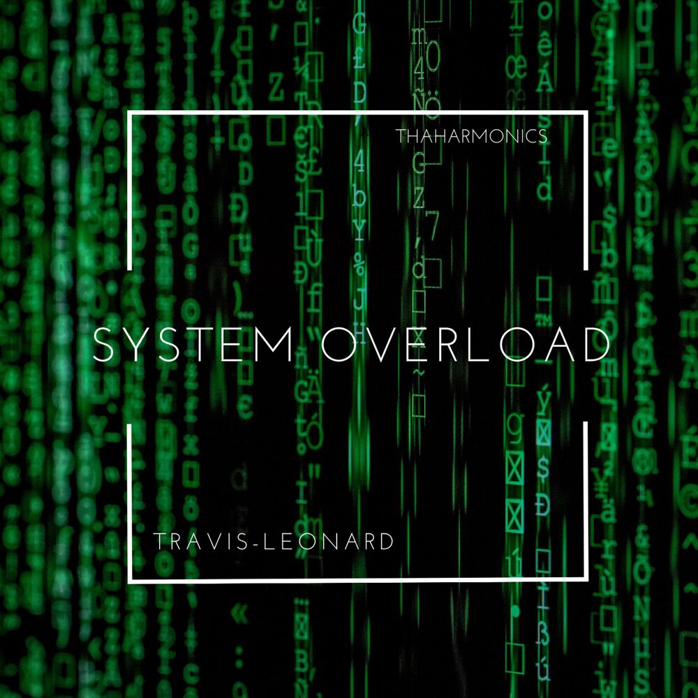 Picture of System Overload