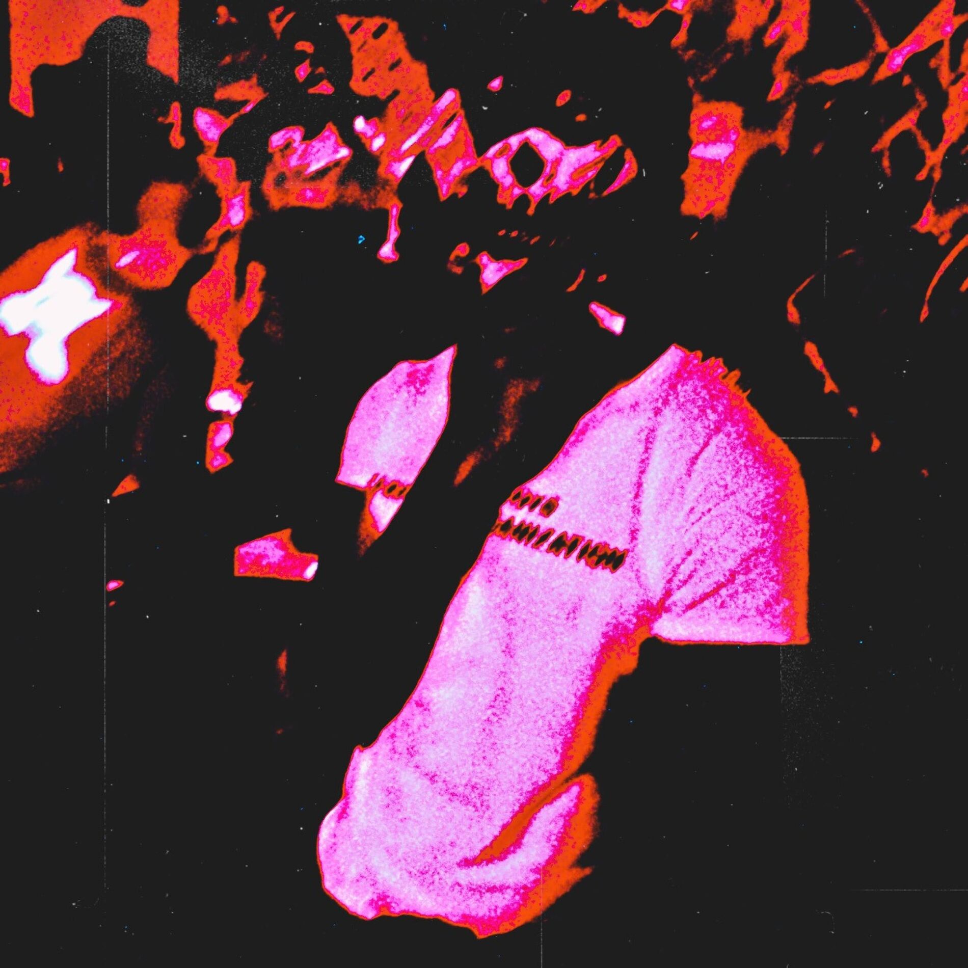 Album cover of SHAWTY (feat. GUN)