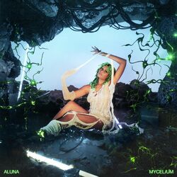 Cover of MYCELiUM