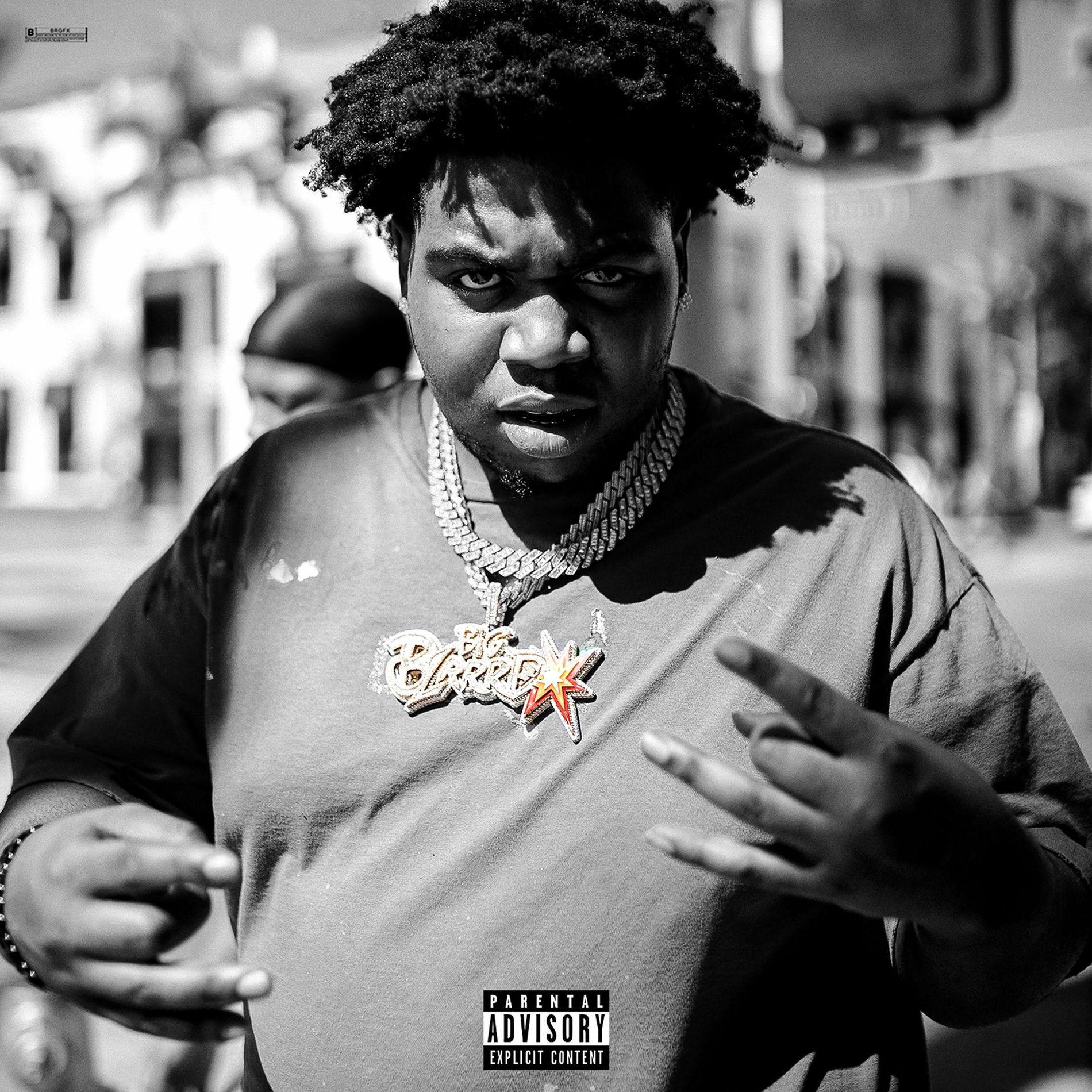 Album cover of Blrrrddd Pt. 2