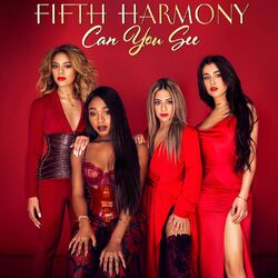 Cover of Can You See
