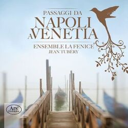 Cover of Passaggi da Napoli a Venetia