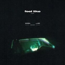 Cover of Feel Like