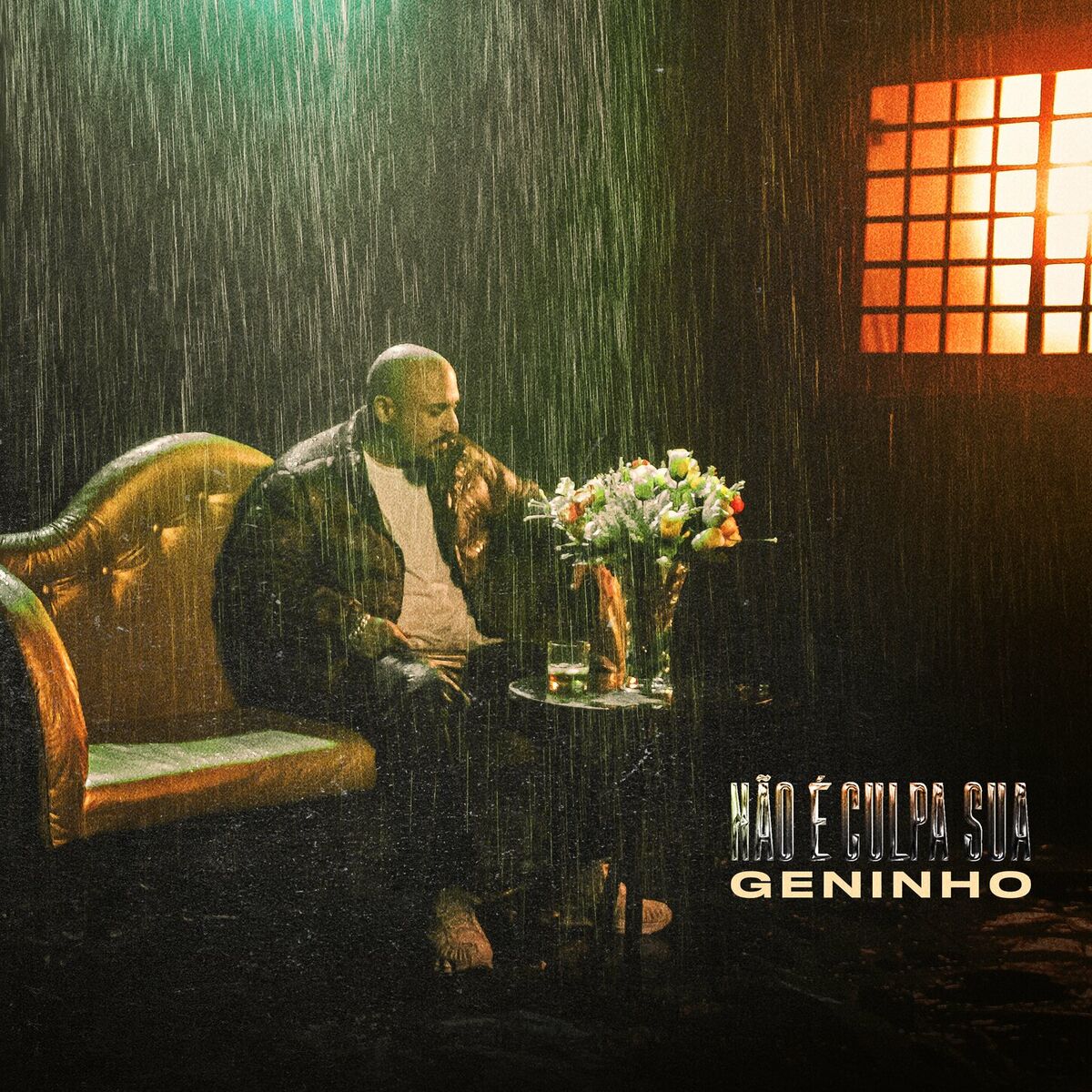 Album cover of Não É Culpa Sua