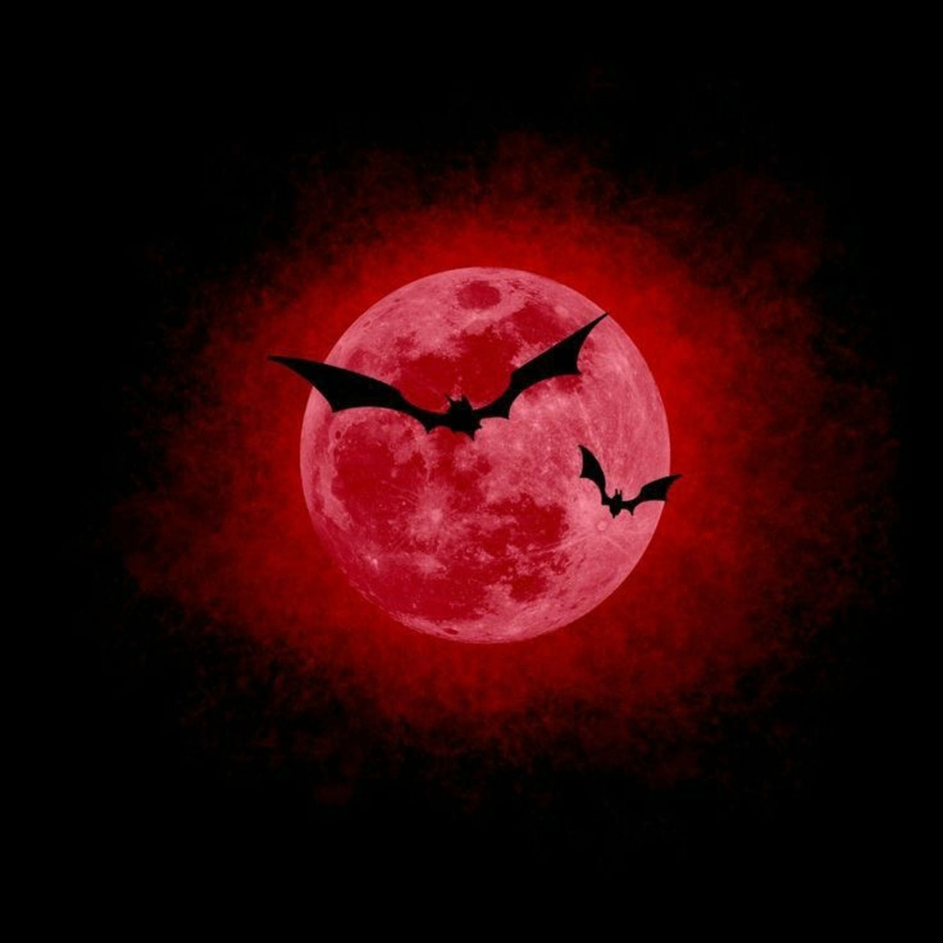 Album cover of Backr00Ms