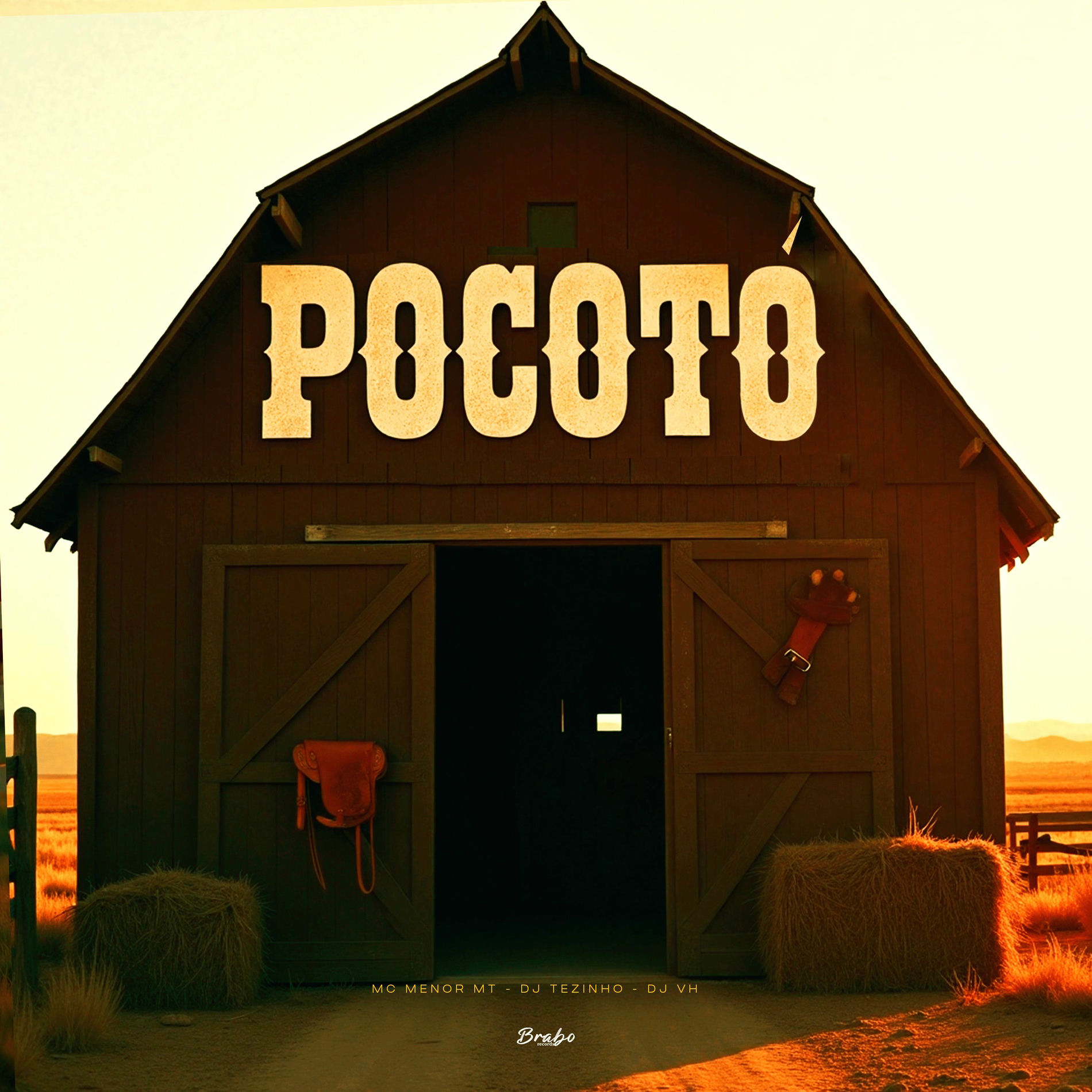 Album cover of POCOTÓ