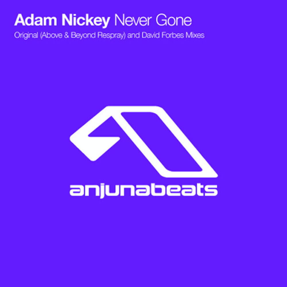 Picture of Never Gone