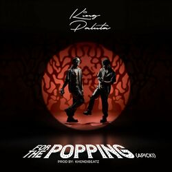 Cover of For the Popping (Apicki)