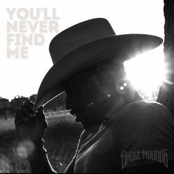 Cover of You'll Never Find Me