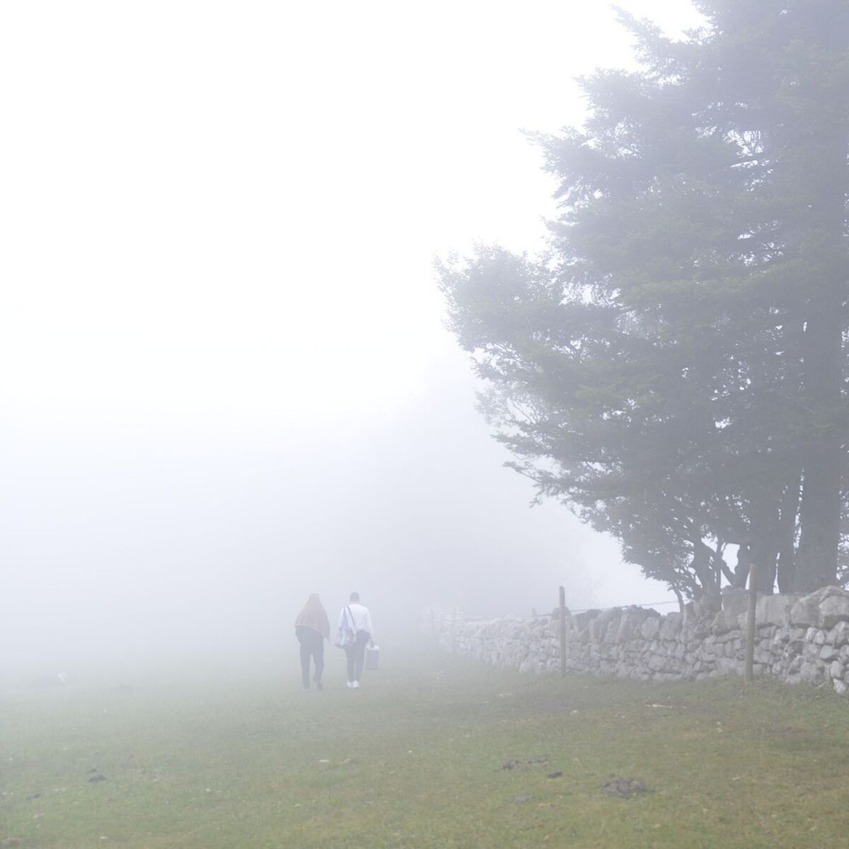 Album cover of Ni verstöh