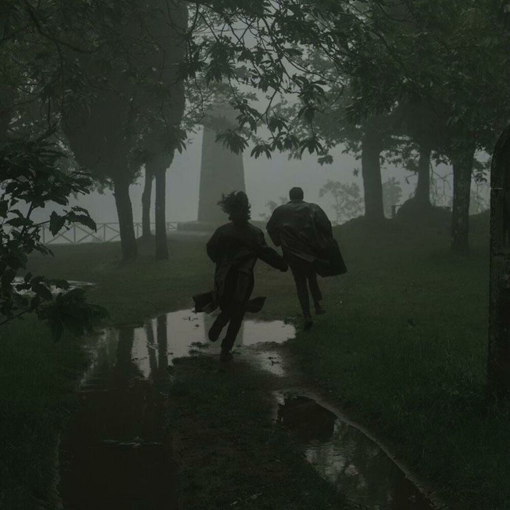 Picture of Chasing shadows