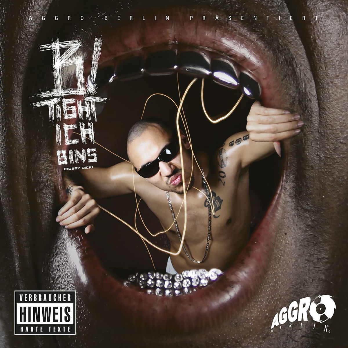Album cover of Ich bins