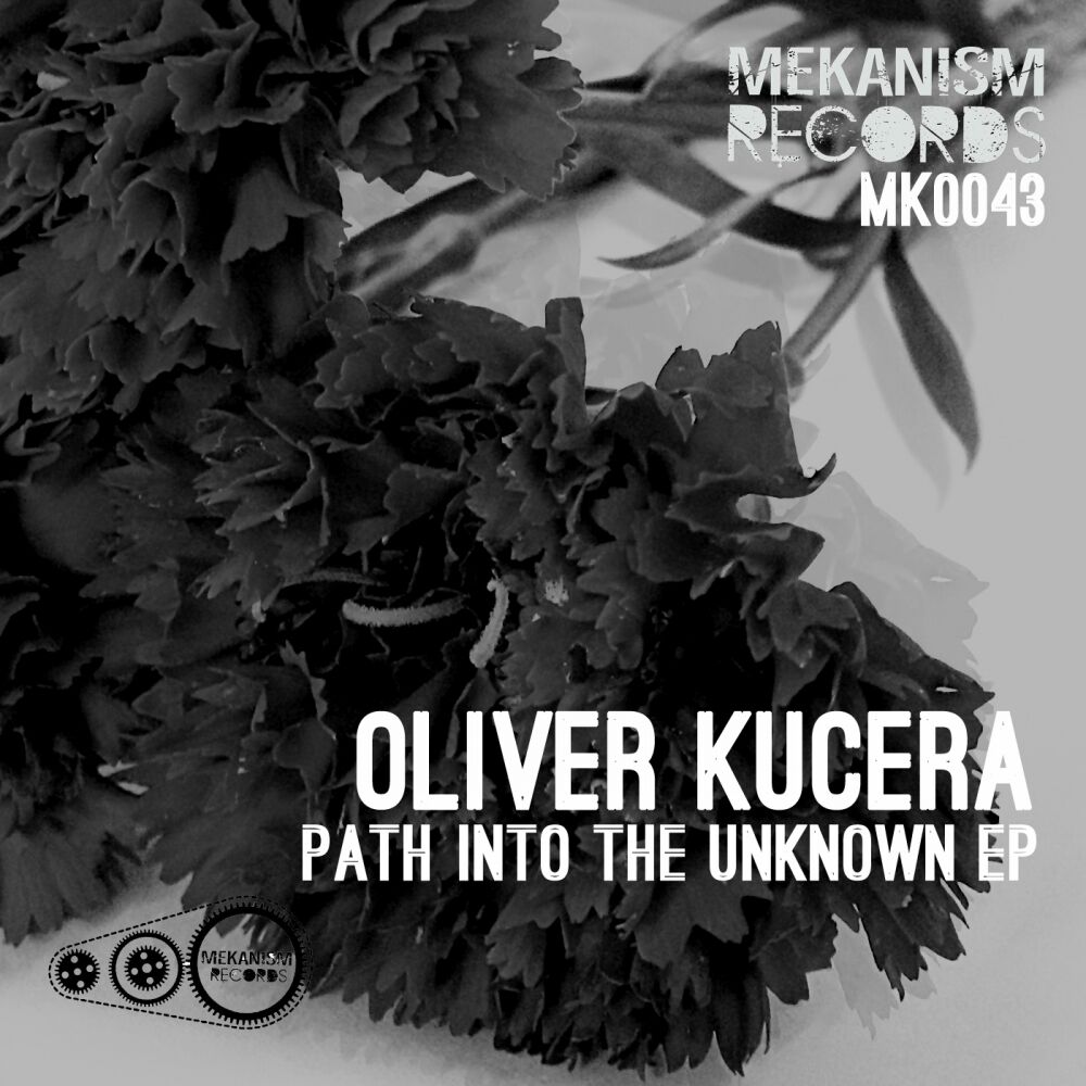 Picture of Path Into The Unknown