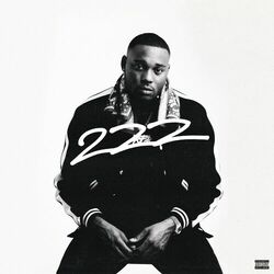 Cover of 222