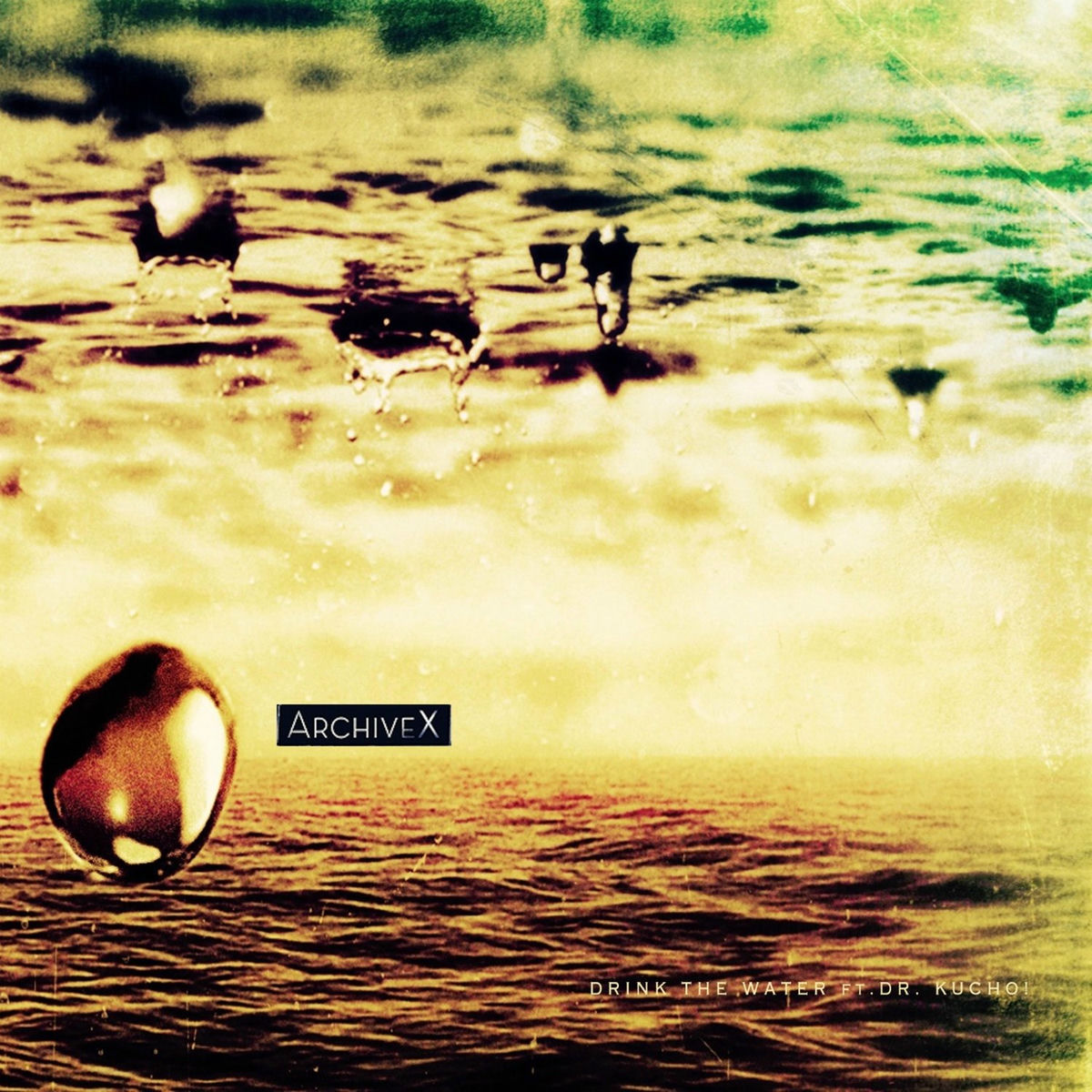 Album cover of Drink the Water (Dr. Kucho! Edit)