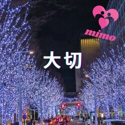 Cover of 大切