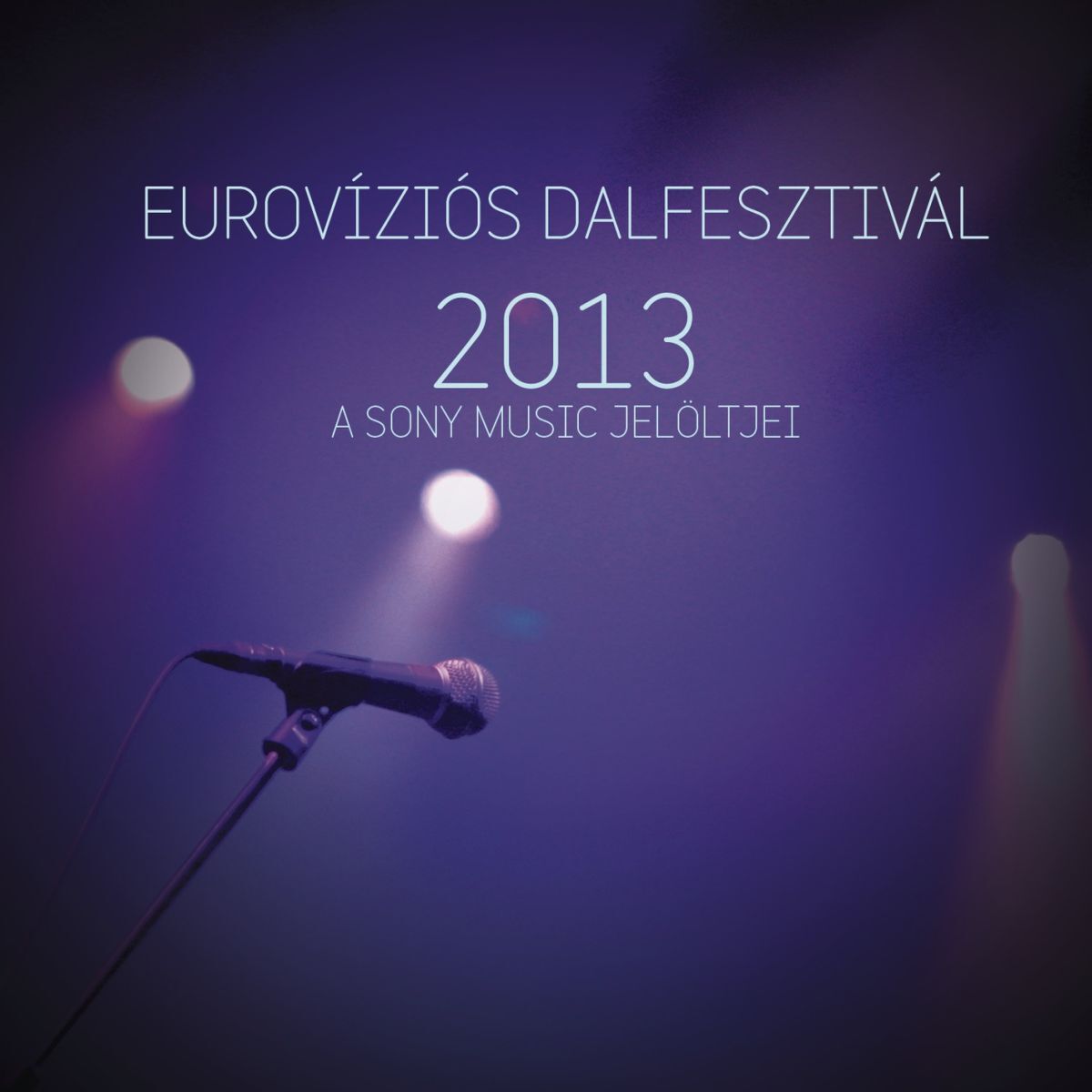 Album cover of Eurovíziós Dalfesztivál 2013 - A Sony Music jelöltjei