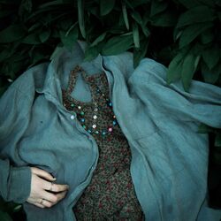 Cover of Tulips//Solitude