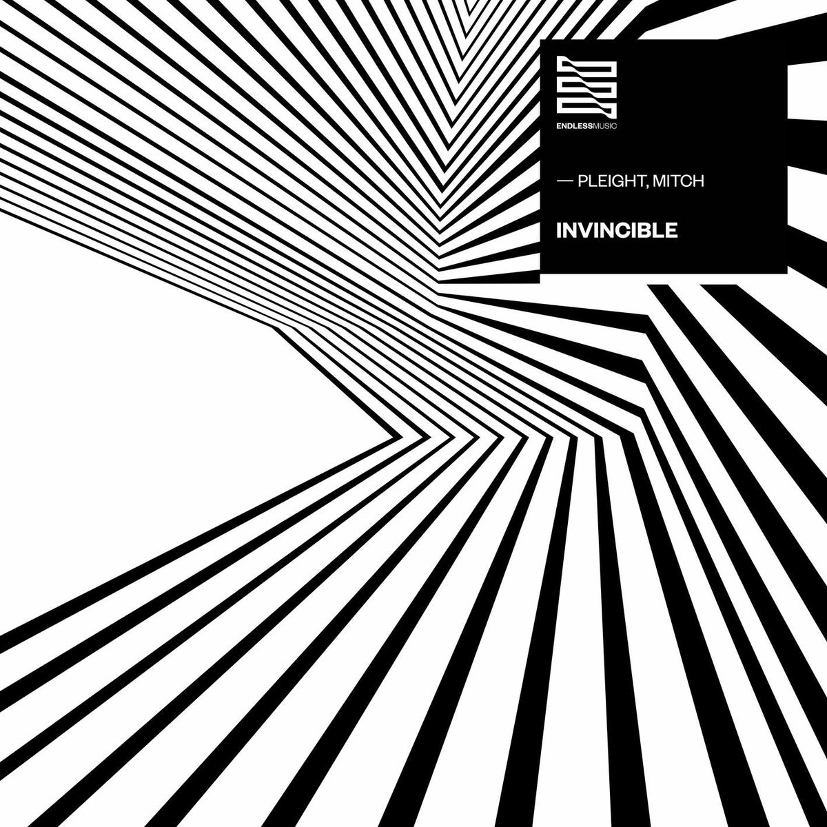 Album cover of Invincible