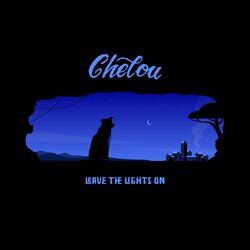 Cover of Leave The Lights On