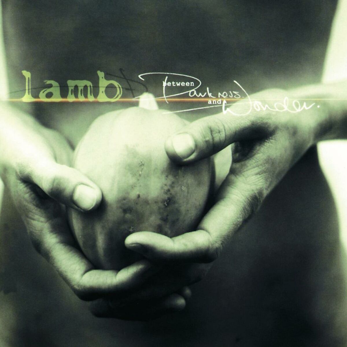 Album cover of Between Darkness And Wonder