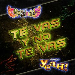 Cover of Te Vas y No Te Vas