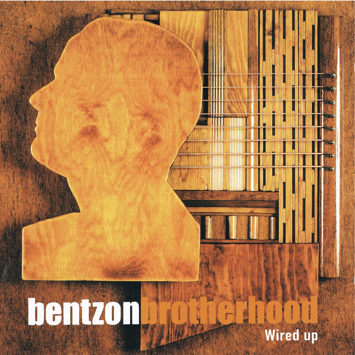 Album cover of Wired Up