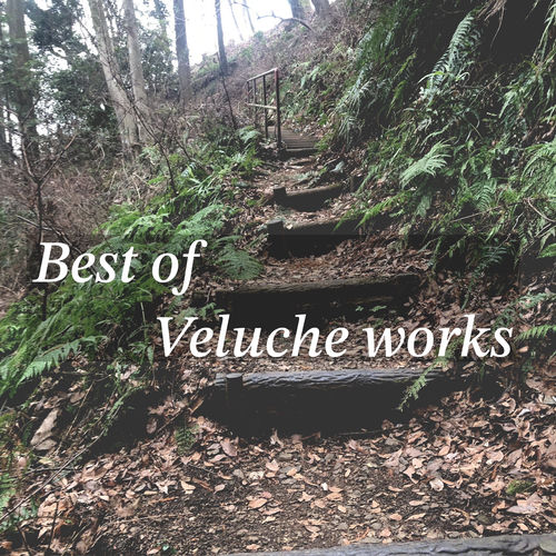 Best of Veluche works