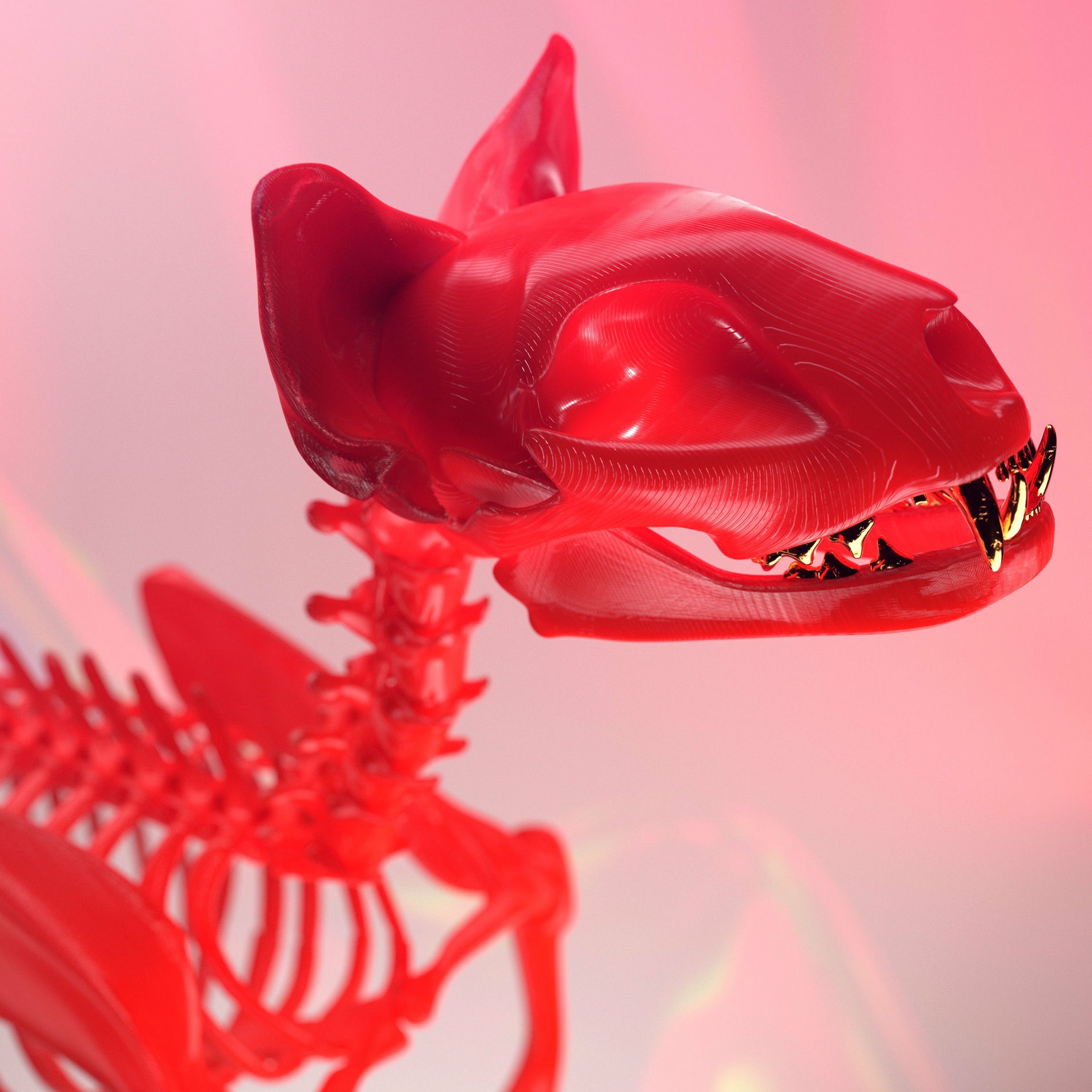 Album cover of Rose Petals