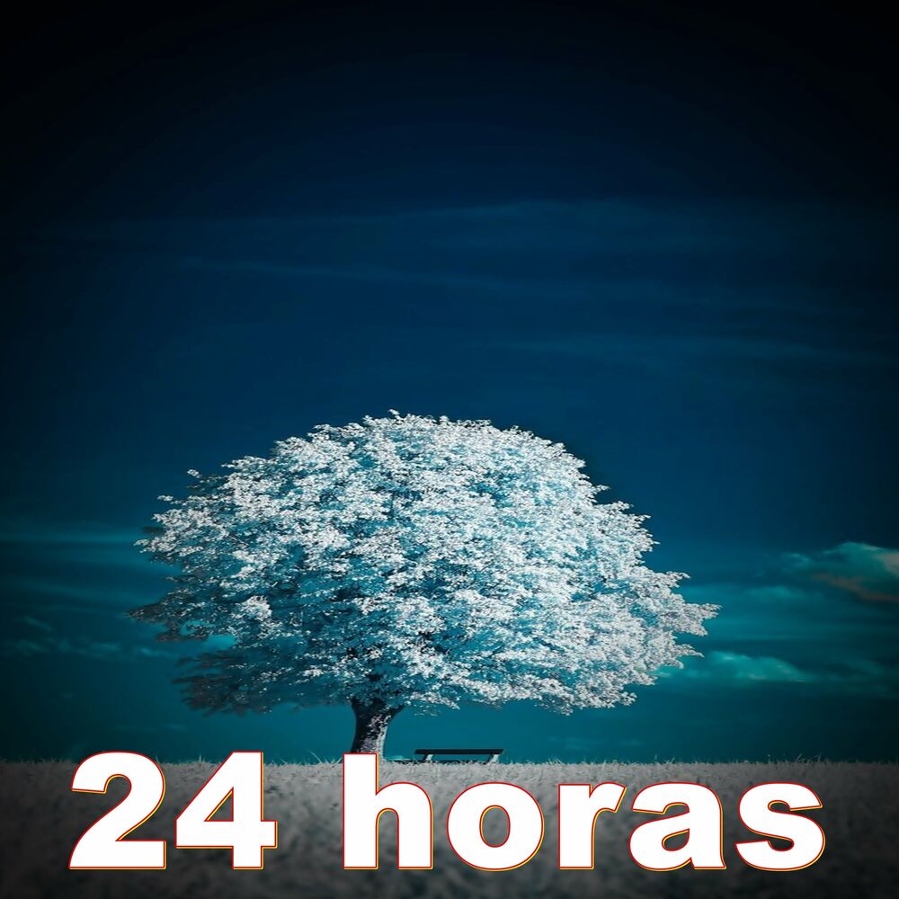 Picture of 24 horas