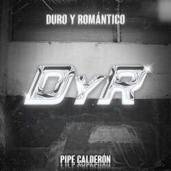 Cover of D y R