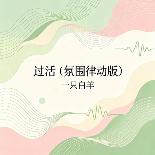 过活(氛围律动版)