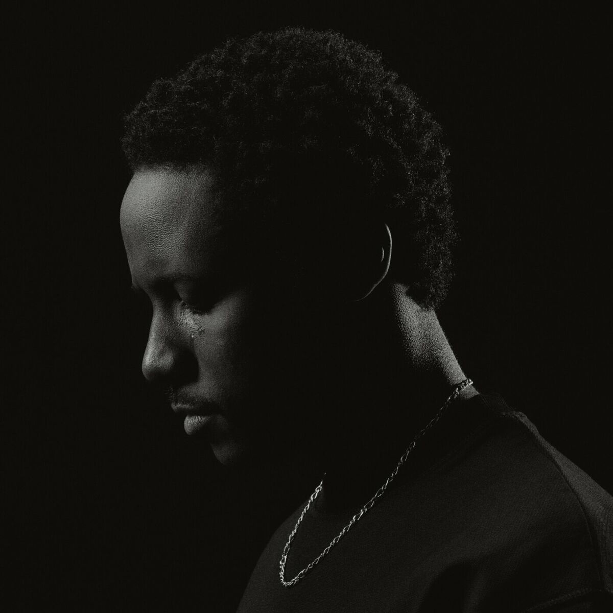 Album cover of The Rain