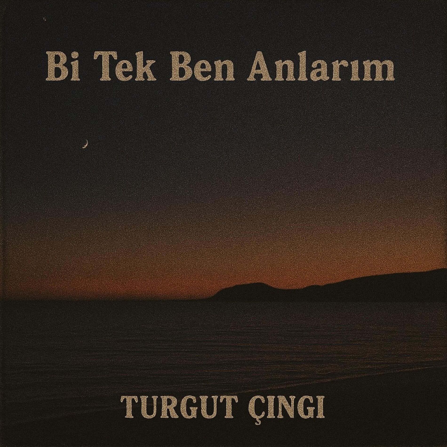 Album cover of Bİ TEK BEN ANLARIM