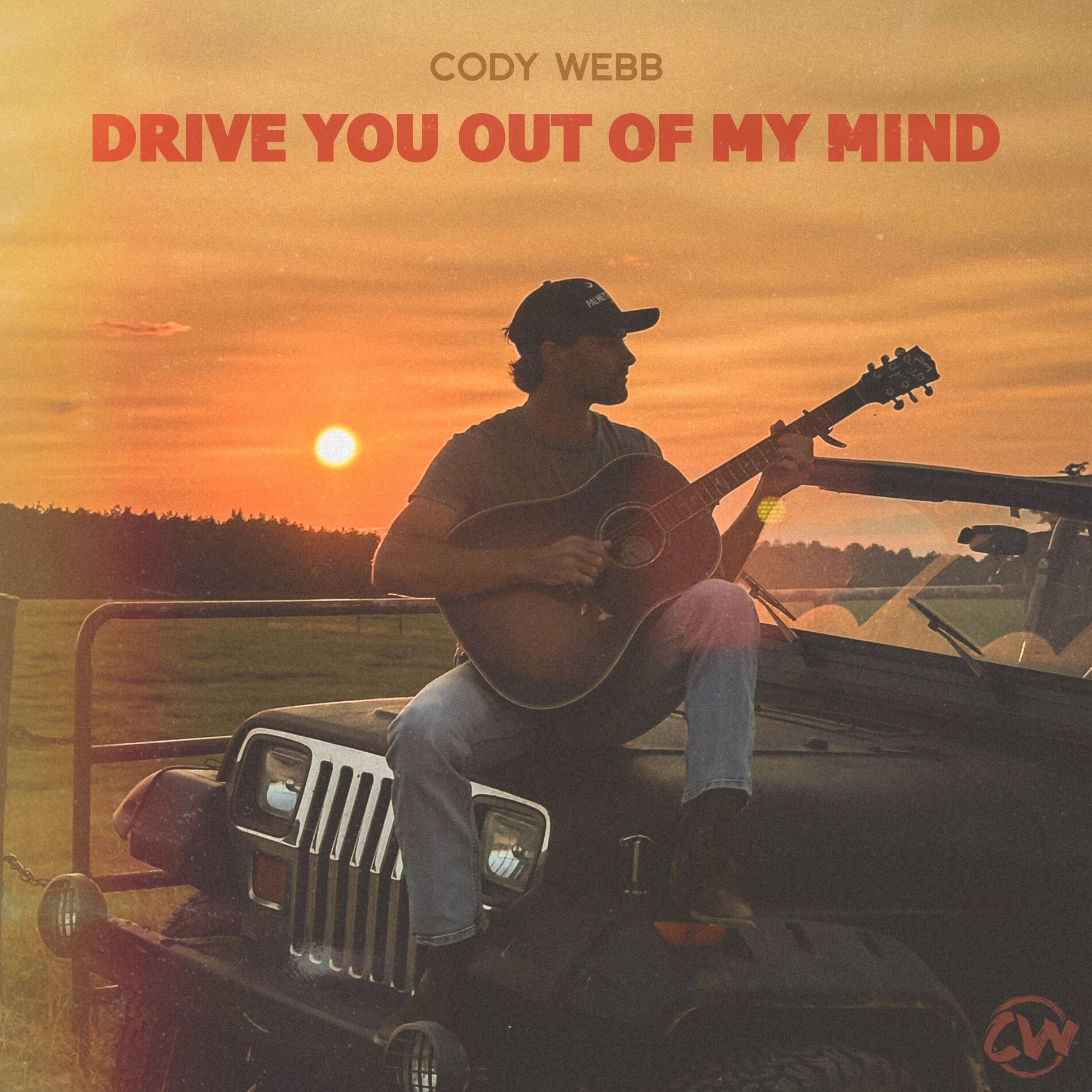 Album cover of Drive You Out of My Mind